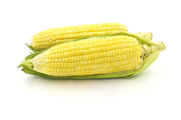 Fresh Corn on White Background. Healthy Sweet Corn on White. Vegetable Corn on White Background. Organic Corn on White. Close-up of Corn on White Background.