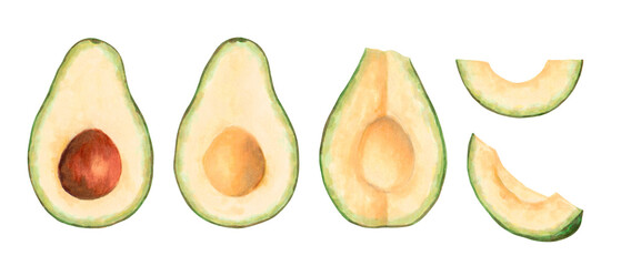 Avocado fruit cut with pit and slices. Marker illustration in watercolor style. Hand drawn isolated clipart. Botanical sketch of vegetables for food packaging or recipes. Cookbook, kitchen print