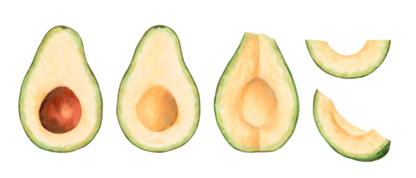 Avocado fruit cut with pit and slices. Marker illustration in watercolor style. Hand drawn isolated clipart. Botanical sketch of vegetables for food packaging or recipes. Cookbook, kitchen print