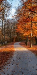 Fototapeta premium Autumn Path Through Forest with Fallen Leaves