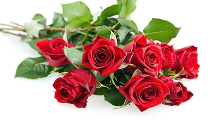 Bouquet of Red Roses on White Background: Classic Elegance