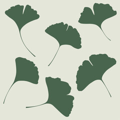 Set of green ginkgo biloba leaves on light green background.