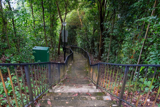 Steps stairway descending into Mount Faber Park Singapore, lush rainforest forest jungle, family holiday vacation travel destination, walk bushwalk hike
