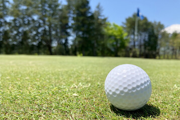 ゴルフ場と白い綺麗なゴルフボール