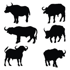 Buffalo Silhouette Vector Illustration Bundle