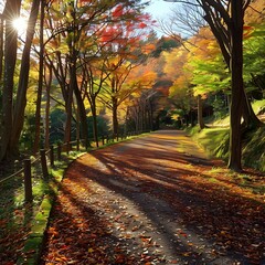 Obraz premium Autumn Leaves Road