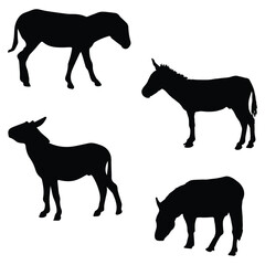 Donkey Silhouette Vector Illustration Set