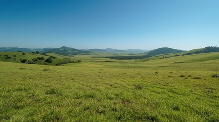 Obraz premium Expansive Nalati grassland with a clear blue sky, rolling hills, and vibrant green pastures.