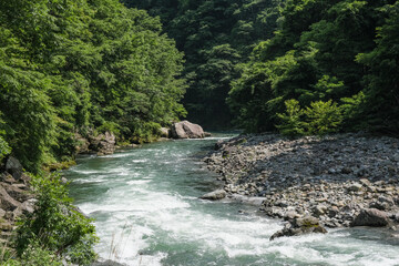 自然豊かな奥秩父を流れる荒川