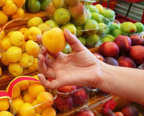 Fresh Apricot Handpicked Market Display Close-Up