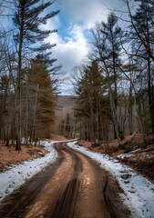 Snowy Dirt Road through the Woods