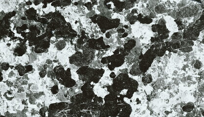 Abstract Pattern Black White Granite Texture Close-Up