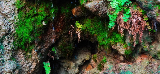 Mossy Rock Caves Waterfall Close-Up Colorful