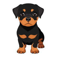 Illustration of Cute Baby Rottweiler Dog Isolated