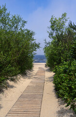 Fototapeta premium Path to the beach on a sunny summer day, Jantar, northern Poland