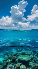 Obraz premium Underwater Coral Reef: Serene Beauty Below the Surface