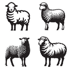 4 sets black of  Sheep Standing silhouette isolated on white background png jpeg eps transparents

