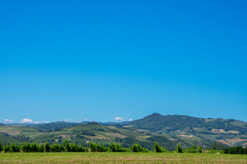 View of a beautiful vineyard in Emilia-Romagna near Bologna in Italy © Gilles Rivest
