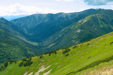 Beautiful mountain landscape in summer. Green grass, high rocks, blue sky and white clouds. Natural background. Tatra Mountains