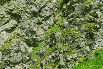 Obraz premium Stone cliff covered with green vegetation, close-up. Stone background