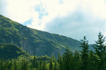 Fototapeta premium Beautiful summer landscape in the mountains. Green mountains and blue sky. Tatras