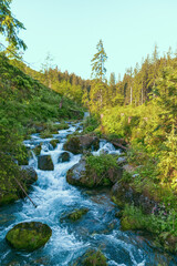 Mountain river on a summer morning. Beautiful natural background. Tatra Mountains