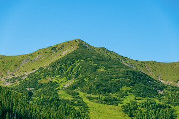 Beautiful summer landscape in the mountains. Green mountains and blue sky. Tatras