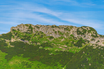Beautiful summer landscape in the mountains. Green mountains and blue sky. Tatras
