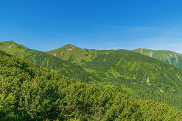 Obraz premium Beautiful summer landscape in the mountains. Green mountains and blue sky. Tatras