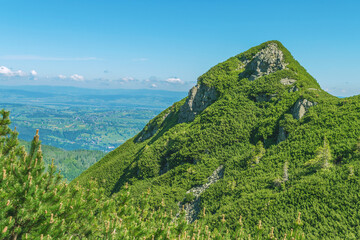 Beautiful mountain landscape in summer. Rocks covered with pine trees. Tatras