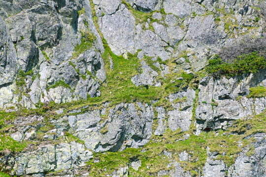 Stone cliff covered with green vegetation, close-up. Stone background