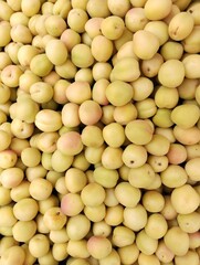 Apricot fruit heap apricots prunus armeniaca stone fruit armenian plums heap sweet damasco juicy ripe abricot albaricoque khubani, image, zardaloo, khoobani zardalou zard aloo photo 