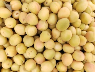 Heap of apricot fruit apricots prunus armeniaca stone fruit armenian plums heap sweet damasco juicy ripe abricot albaricoque khubani, image, zardaloo, khoobani zardalou zard aloo photo 