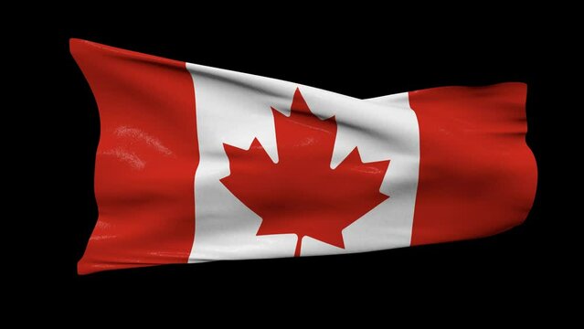 canada flag waving in the wind transparent background 4K resolution