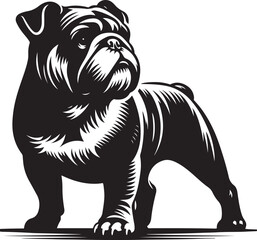 Fototapeta premium British bulldog silhouette line art clip art,vector black color silhouette 