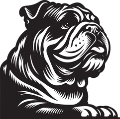 British bulldog silhouette line art clip art,vector black color silhouette 