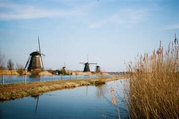 Kinderdijk, The Netherlands (analog)