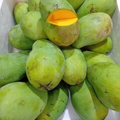 A Pile of Fresh Green Mangos