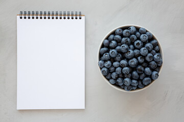 Organic Blueberries in a Bowl, blank notepad on a gray background, top view.
