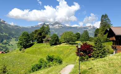 panoramic alpine landscape with swiss mountains, Switzerland, 