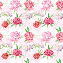 Pattern floral Peony Watercolor Clipart for Commercial Use