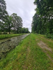 ein Wanderpfad im Grünen von der Moritzburg zum Fasanschlösschen in Moritzburg, einem Ort in Sachsen - Deutschland