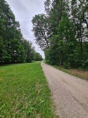 ein Wanderpfad im Grünen von der Moritzburg zum Fasanschlösschen in Moritzburg, einem Ort in Sachsen - Deutschland