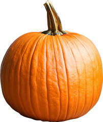 Pumpkin Vector Image Transparent Background