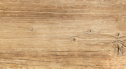 Fototapeta premium Natural wood background.