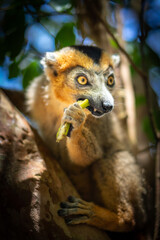 Madagaskar 2022