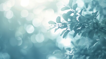 Ethereal Macro Patterns in Subtle Blurred Background with Copy Space