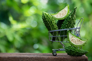Fresh bitter fruits on natural background.