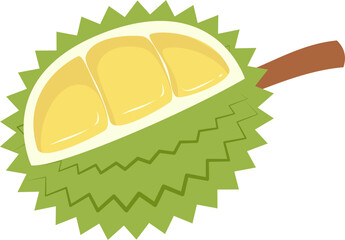 Durian Illustration. Durian fruit.