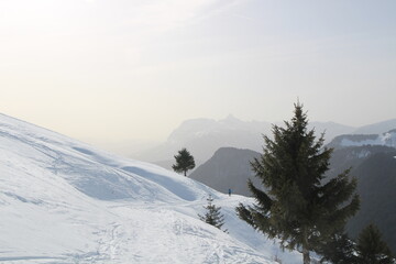 Fototapeta premium Snowy Mountain Trail